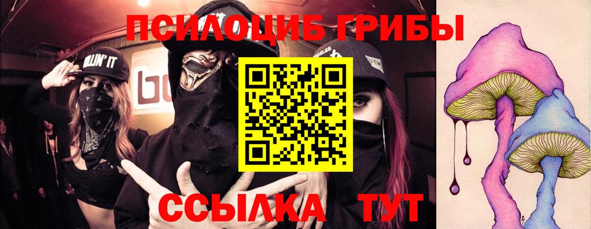 Луховицы  Псилоцибиновые грибы Psilocybine cubensis  Вход с VPN  Псилоцибиновые грибы Psilocybe 
