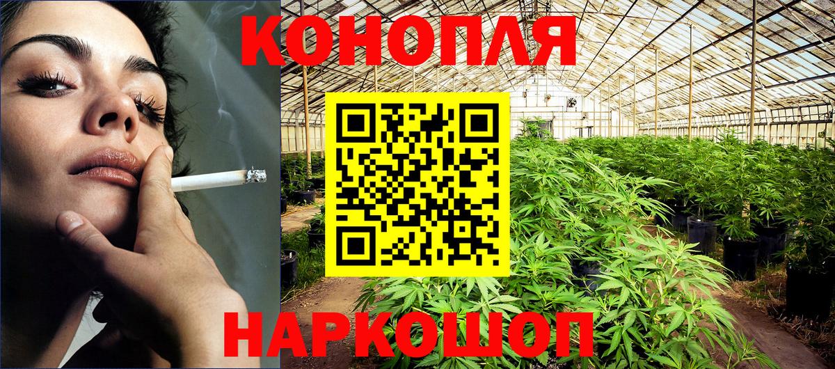 МАРИХУАНА конопля Луховицы